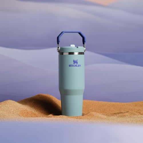 Stanley IceFlow Flip Straw Tumbler with Handle 30 oz | Twist On Lid and Flip Up Straw | Leak Resistant Water Bottle | Insulated Stainless Steel |BPA-Free | Lilac