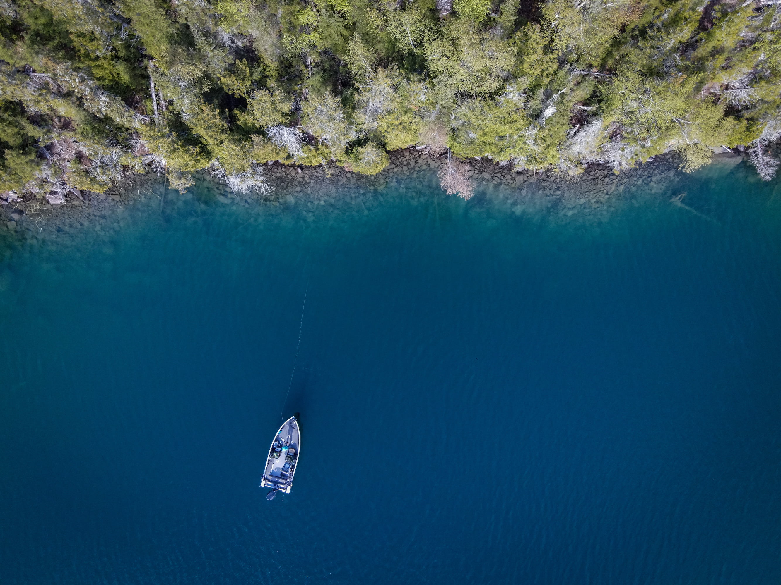 Okuma Magda 20DX Line Counter Reel, Fishing Reel