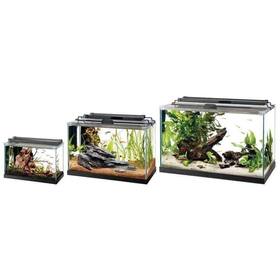 Aqueon Rimless Rectangle Aquarium - Pet Supplies online store