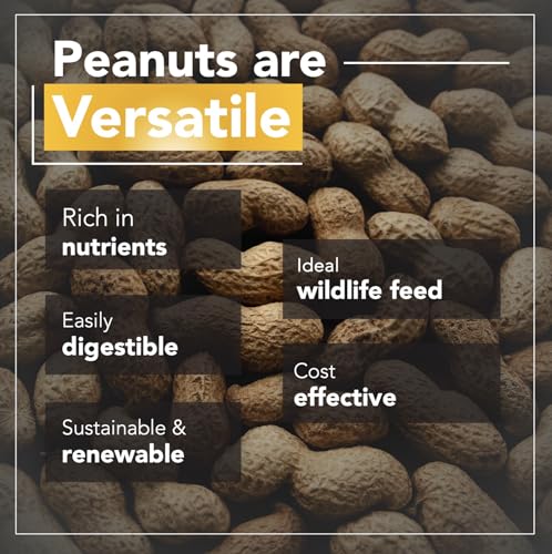 Wildlife Feed Raw Peanuts (10 LBS) - Our in-Shell Peanuts are The Ideal Critter Food to Attract Squirrels, Birds, Deer and Other Diverse Wildlife.