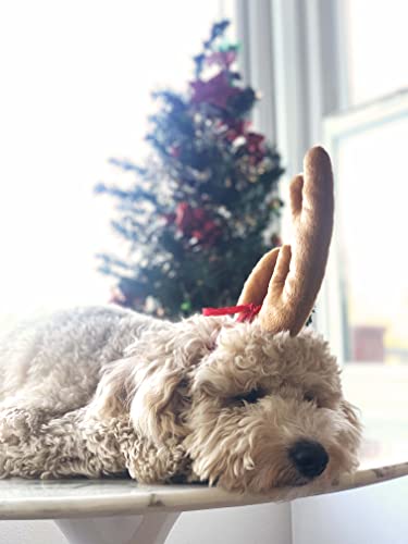 ComfyCamper Reindeer Antler Dog Halloween Costume - Headband Cosplay Christmas Small Medium Large X-Large Puppy Cat, XL