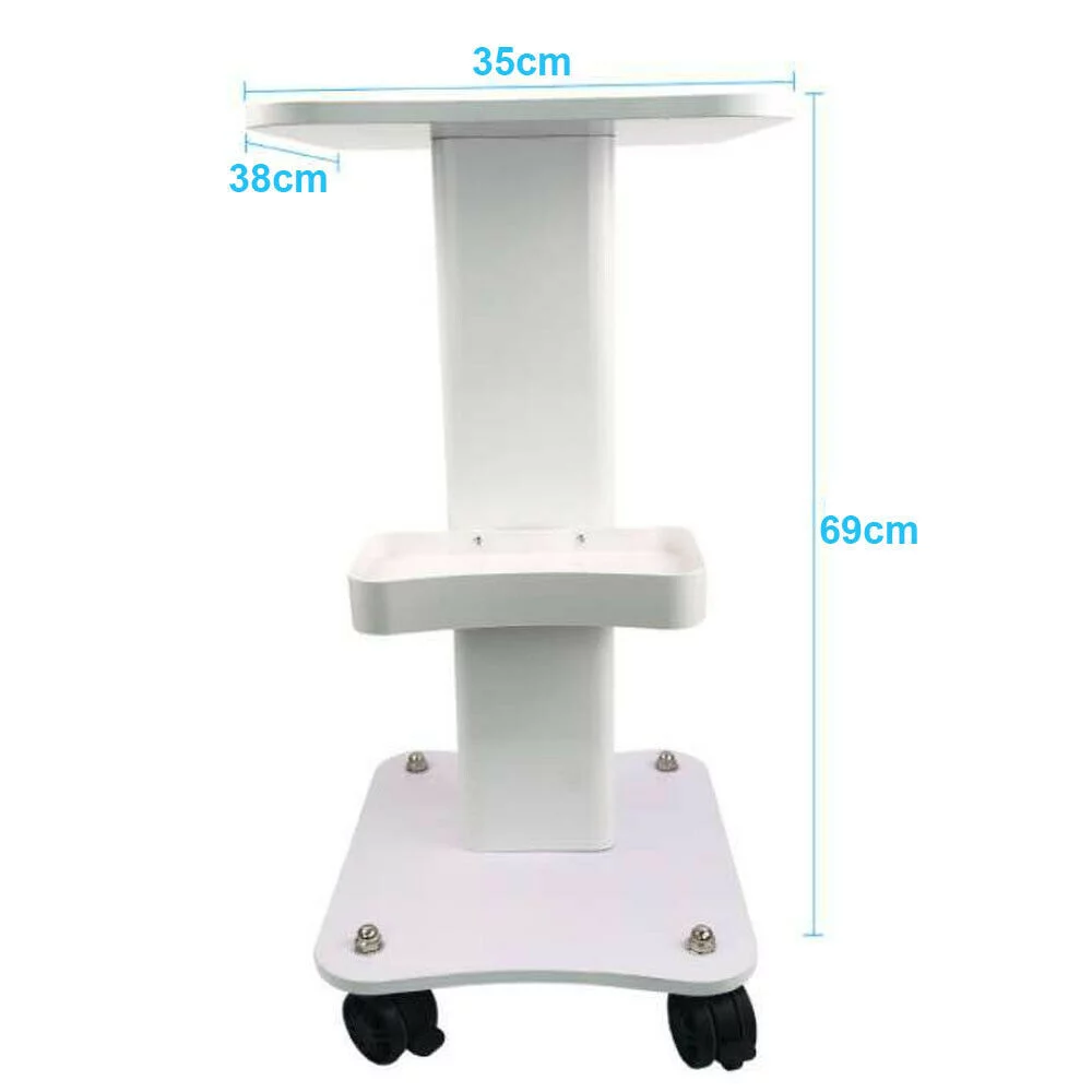 Beauty Cart,Salon Roller Trolley Cart Stand Beauty Instrument Tray Rolling Cart with Wheel,Load 132lbs,Aluminum (