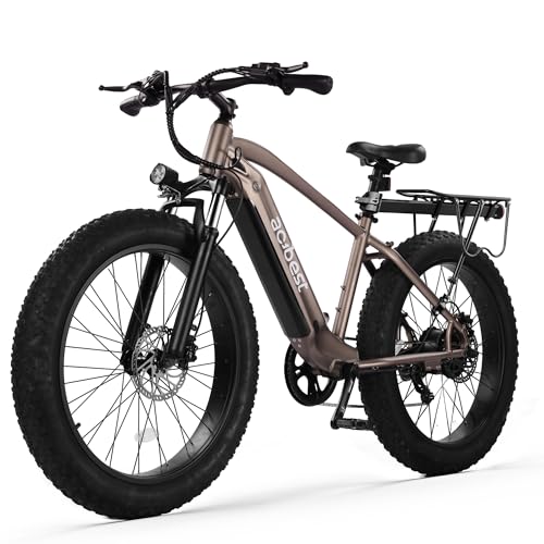 ACTBEST Ranger Electric Bike for Adults,26