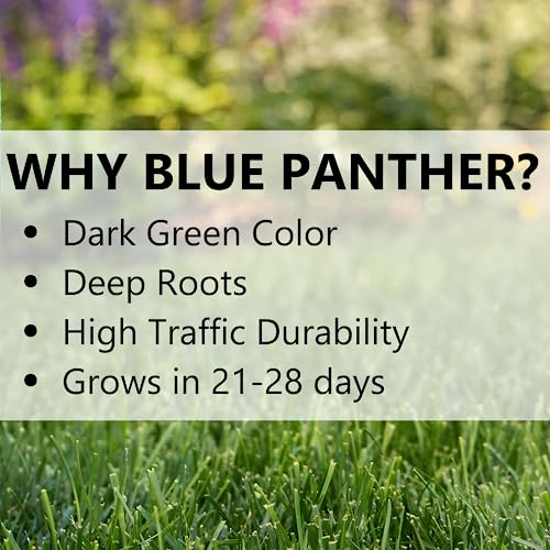 Jonathan Green (11980) Blue Panther Kentucky Bluegrass Grass Seed - Cool Season Lawn Seed (25 lb)