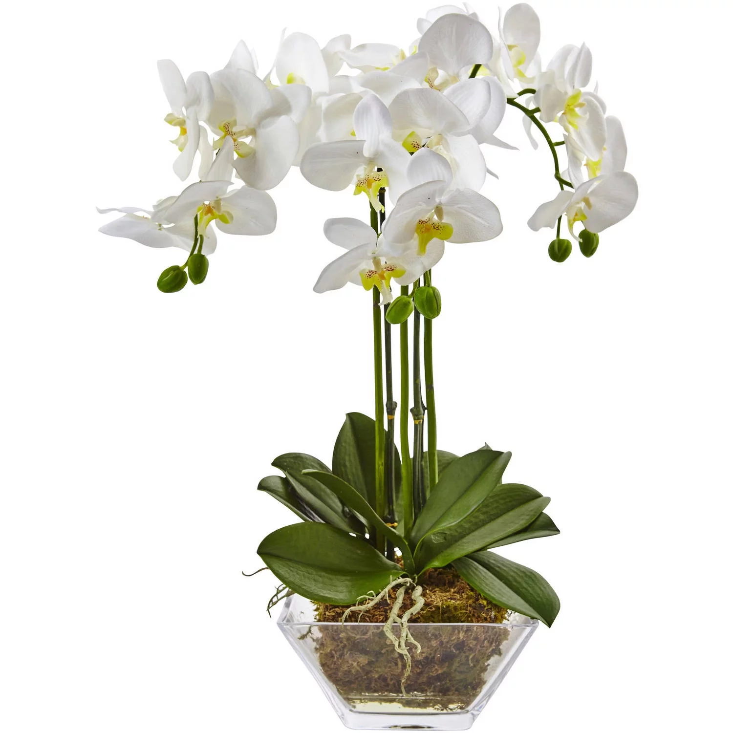 Nearly Natural White Triple Phalaenopsis Orchid Artificial Flowers in Glass Vase