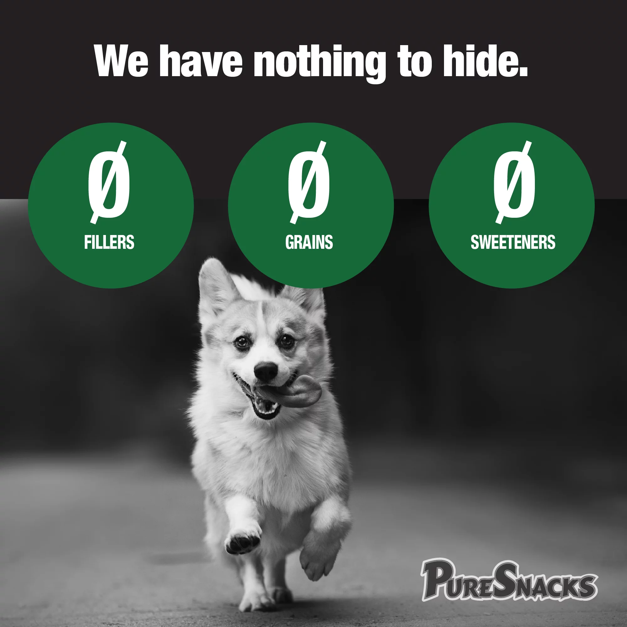 PureSnacks Beef Liver Freeze Dried Dog Treats, 6.98 oz.