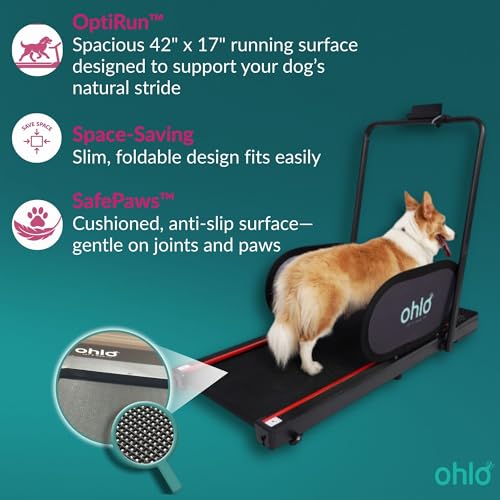 Pet Treadmill for Small & Medium Dogs. Spacious 42