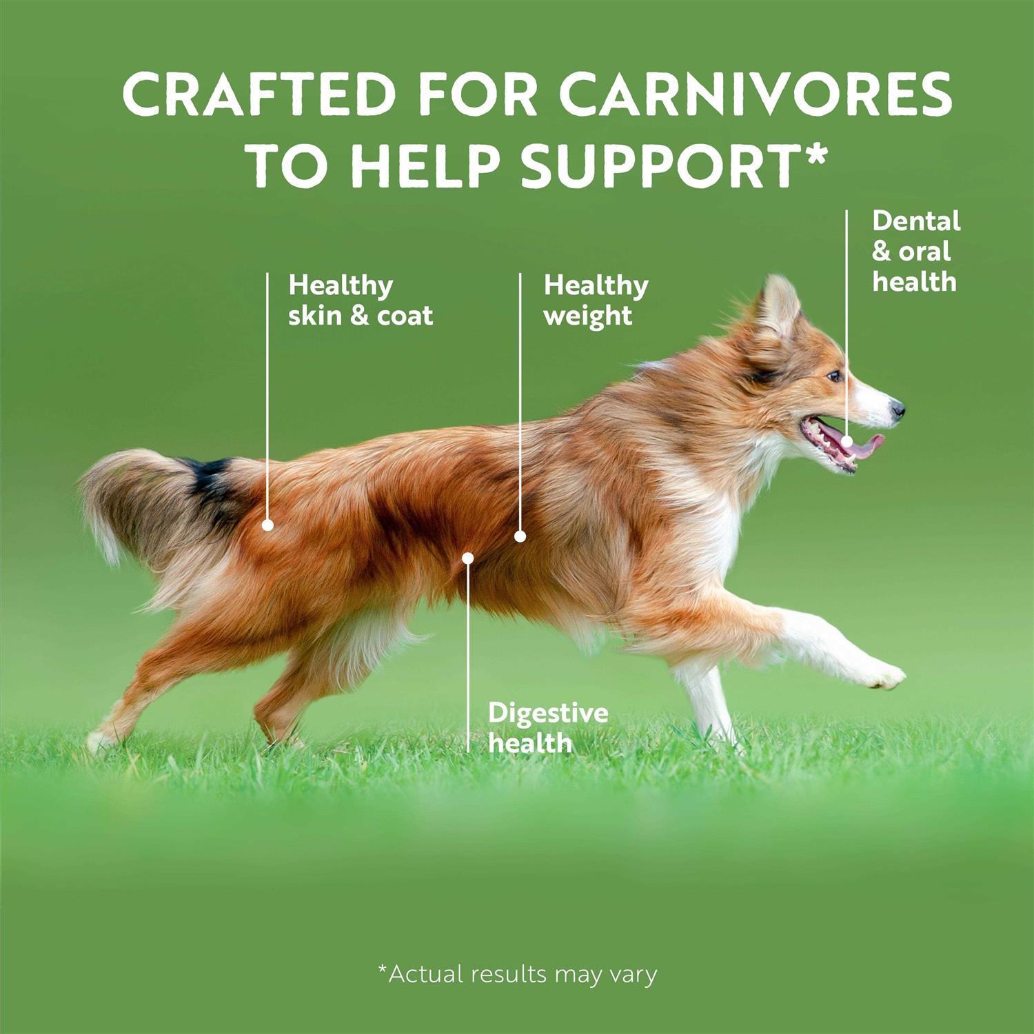 Ziwi Peak Air Dried Lamb Dog Food - Pet Supplies online store