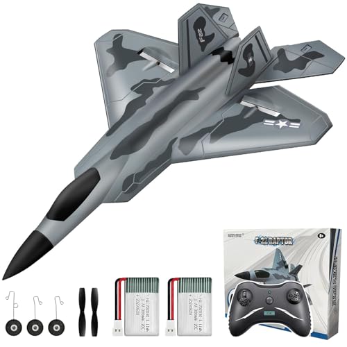 HAWK'S WORK 2 CH RC Airplane, F-22 Plane Ready to Fly, 2.4GHz Remote Control, Easy to Fly RC Glider for Kids & Beginners