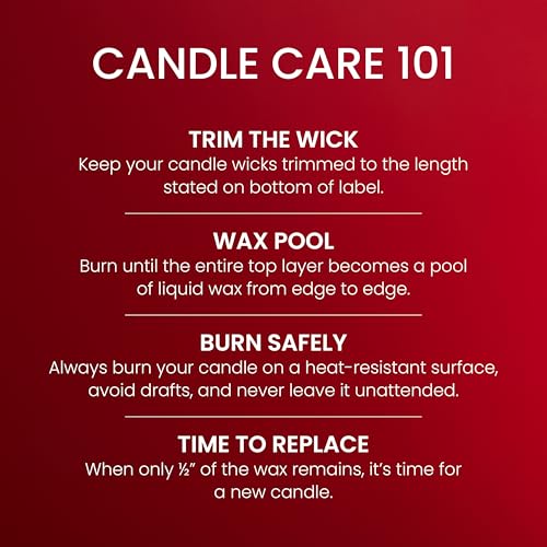 Yankee Candle Sparkling Cinnamon, Christmas Scented Candle, 22oz Large Jar with up to 150 Hour Burn Time, Giftable