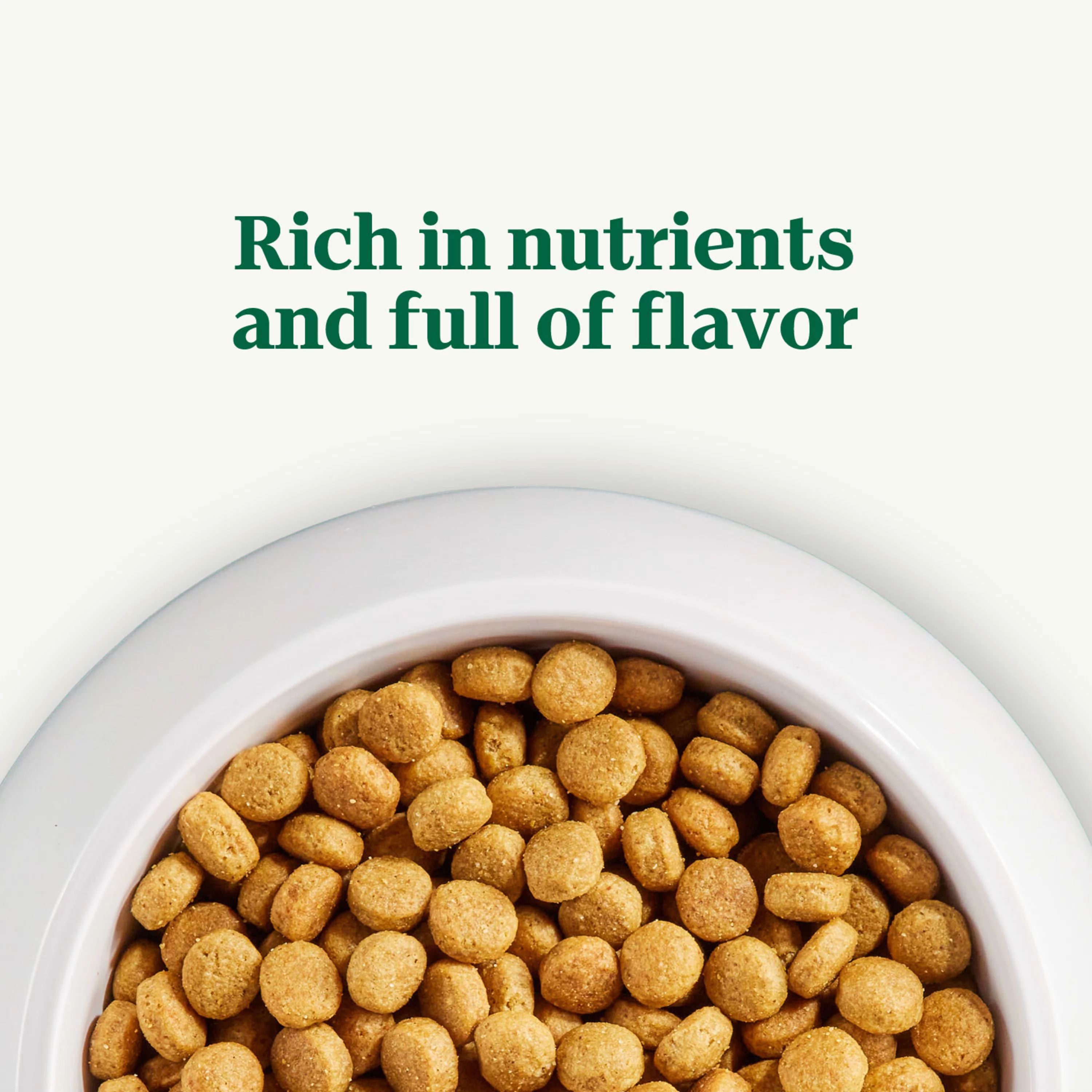 Nutro Natural Choice Lamb and Brown Rice Recipe Dry Dog Food, 30 lb Bag