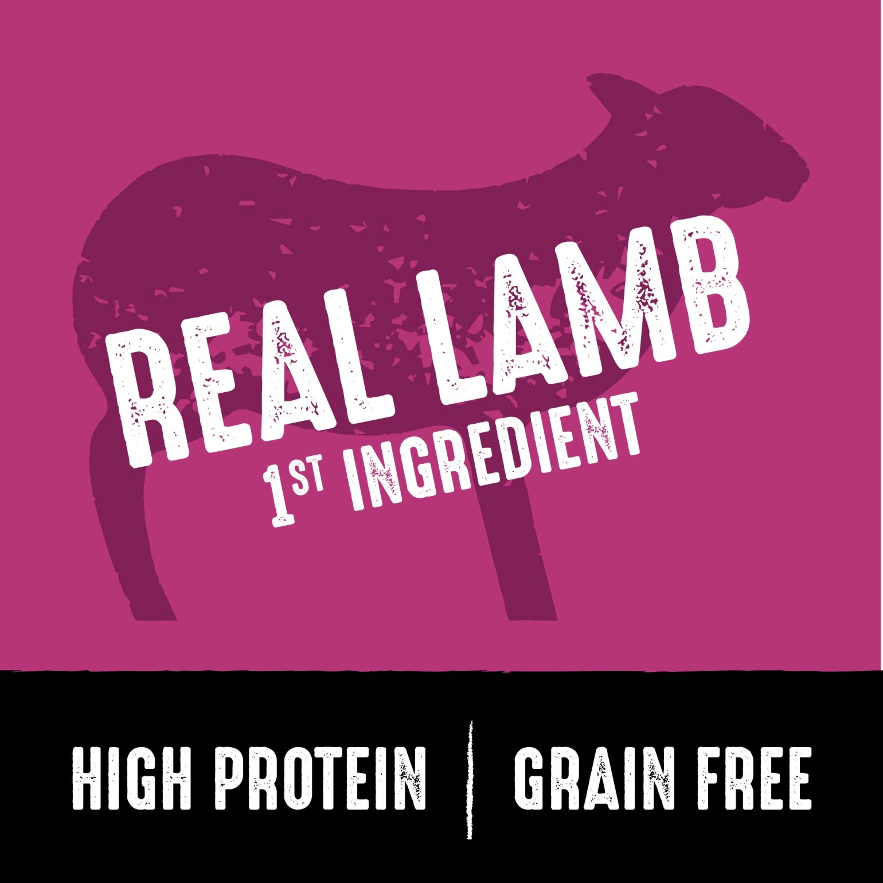 CRAVE Grain Free Adult Dry Dog Food with Protein from Lamb, 4 lb. Bag