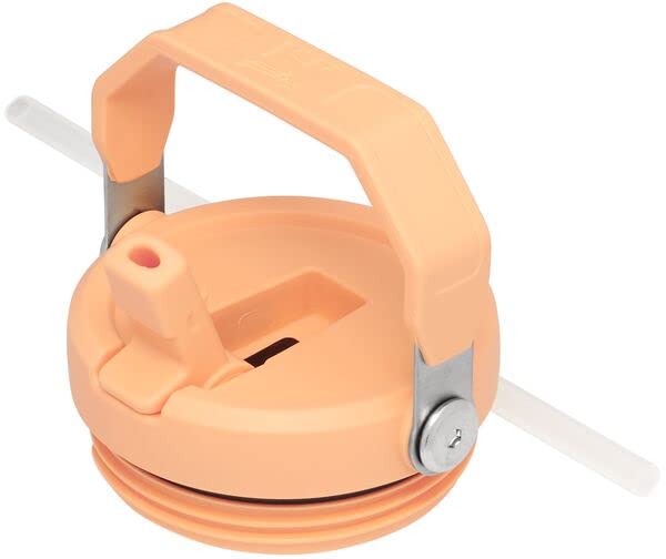 Stanley IceFlow Flip Straw Tumbler with Handle 30 oz | Twist On Lid and Flip Up Straw | Leak Resistant Water Bottle | Insulated Stainless Steel |BPA-Free | Lilac