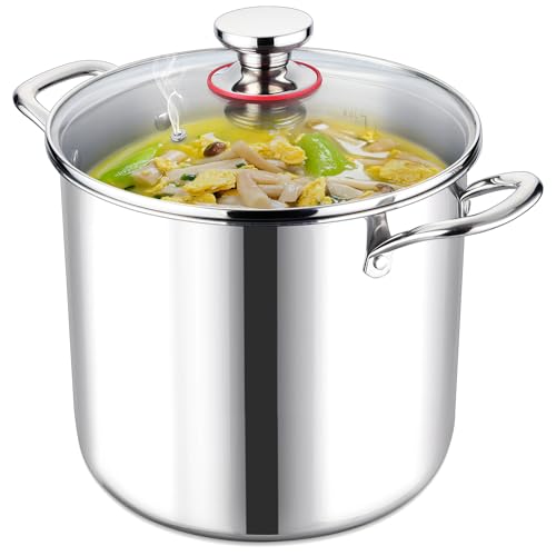 LIANYU 10 Quart Stock Pot with Lid, 10 QT 18/10 Stainless Steel Soup Pot, Tri-Ply Heavy Duty Large Canning Pasta Pot, Big Deep Pot for Cooking, Nonstick Induction Stockpot with Measuring Mark