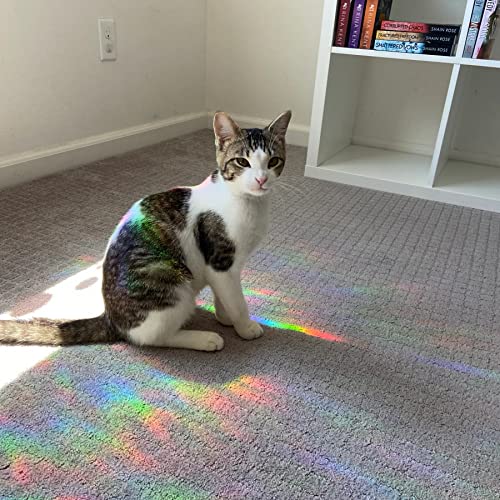 36 Piece Snowflake Anti-Collision Decals - Save Birds from Window Collisions, Reusable Vinyl Rainbow Christmas Winter Stickers