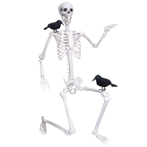 Wocst 6Ft Life Size Skeleton Posable Skeleton with Movable Joints Halloween Full Body Plastic Human Bones with 2PCS Black Crows for Halloween Indoor Outdoor Decor