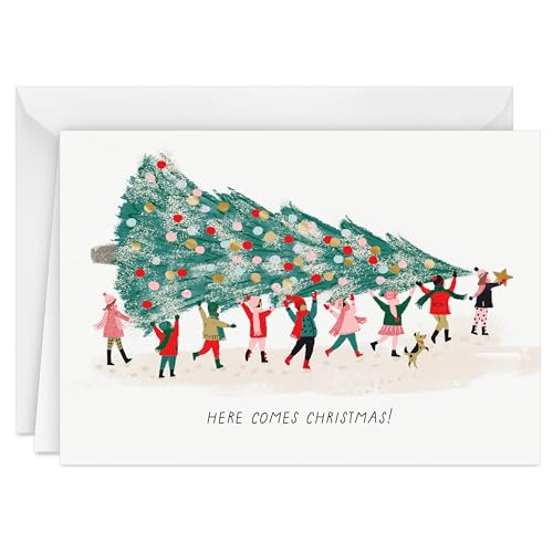 Hallmark UNICEF Boxed Christmas Cards, Here Comes Christmas (20 Cards and 20 Envelopes)