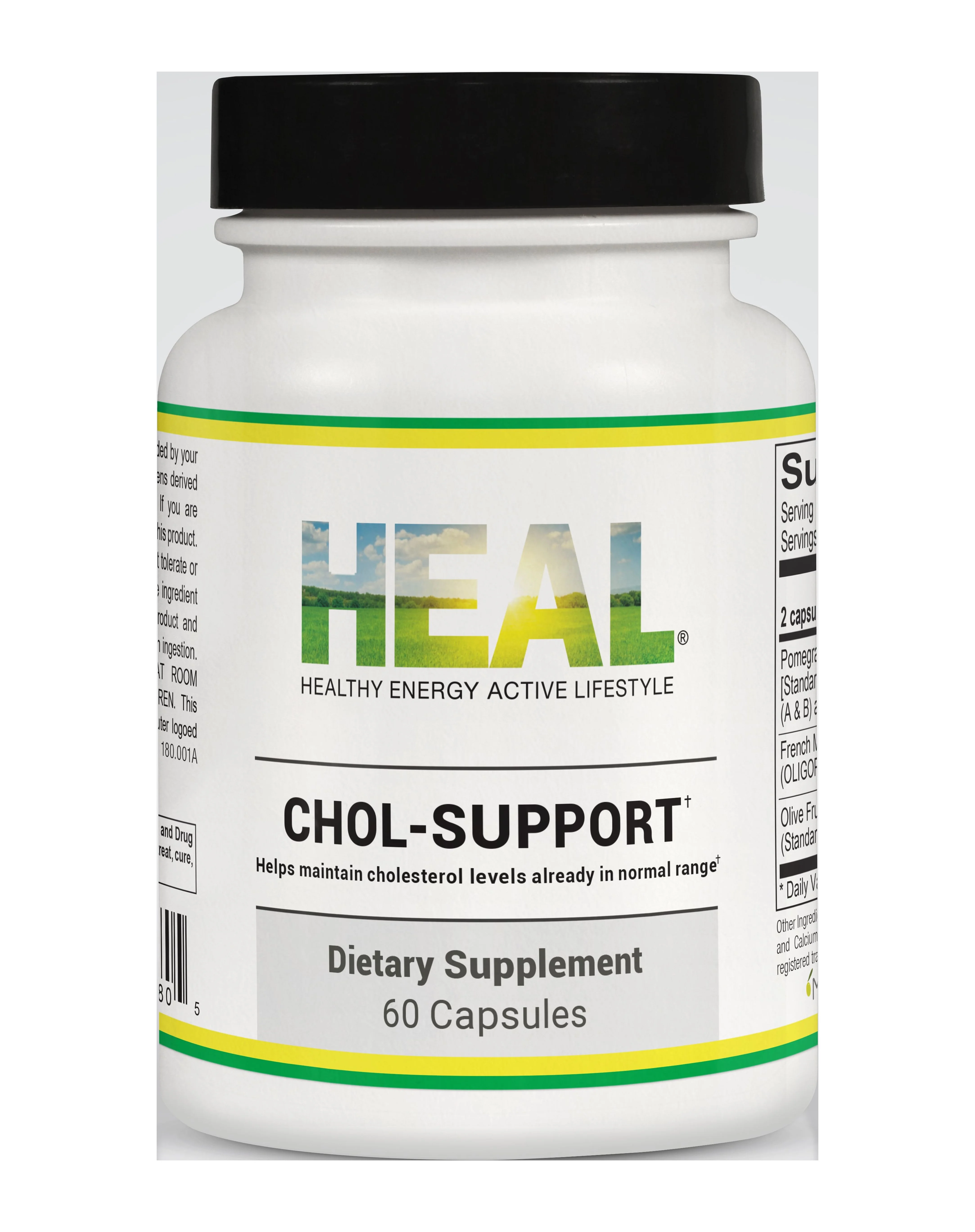 Chol-Support