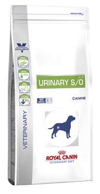 Pienso Urinary S/O Canine 2 KG Royal Canin
