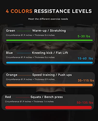 SUNPOW Pull Up Assistance Bands - Set of 5 Resistance Heavy Duty Workout Exercise Stretch Fitness Bands Assist Set for Body, Instruction Guide and Carry Bag Included