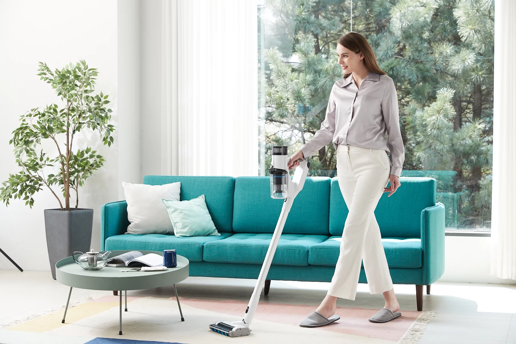 Raycop Omni Power UV+ Cordless Stick Vacuum