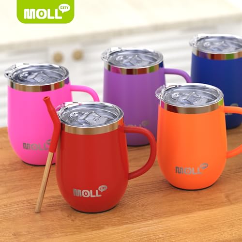 Tumbler with Lid and Straw-12 oz Stainless Steel Double Wall Vacuum Insulated Tumbler Cup with Handle (Canyon Red-Sky Blue)