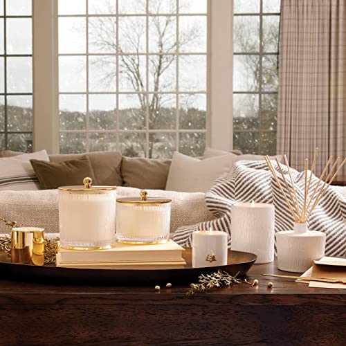 Thymes Frasier Fir Candle - Gilded Frosted Wood Grain Jar Candle - Scented Candle with a Luxury Home Fragrance - Elegant Holiday Candle - Gold Candle Lid and Gilded Gold Base (9 oz)