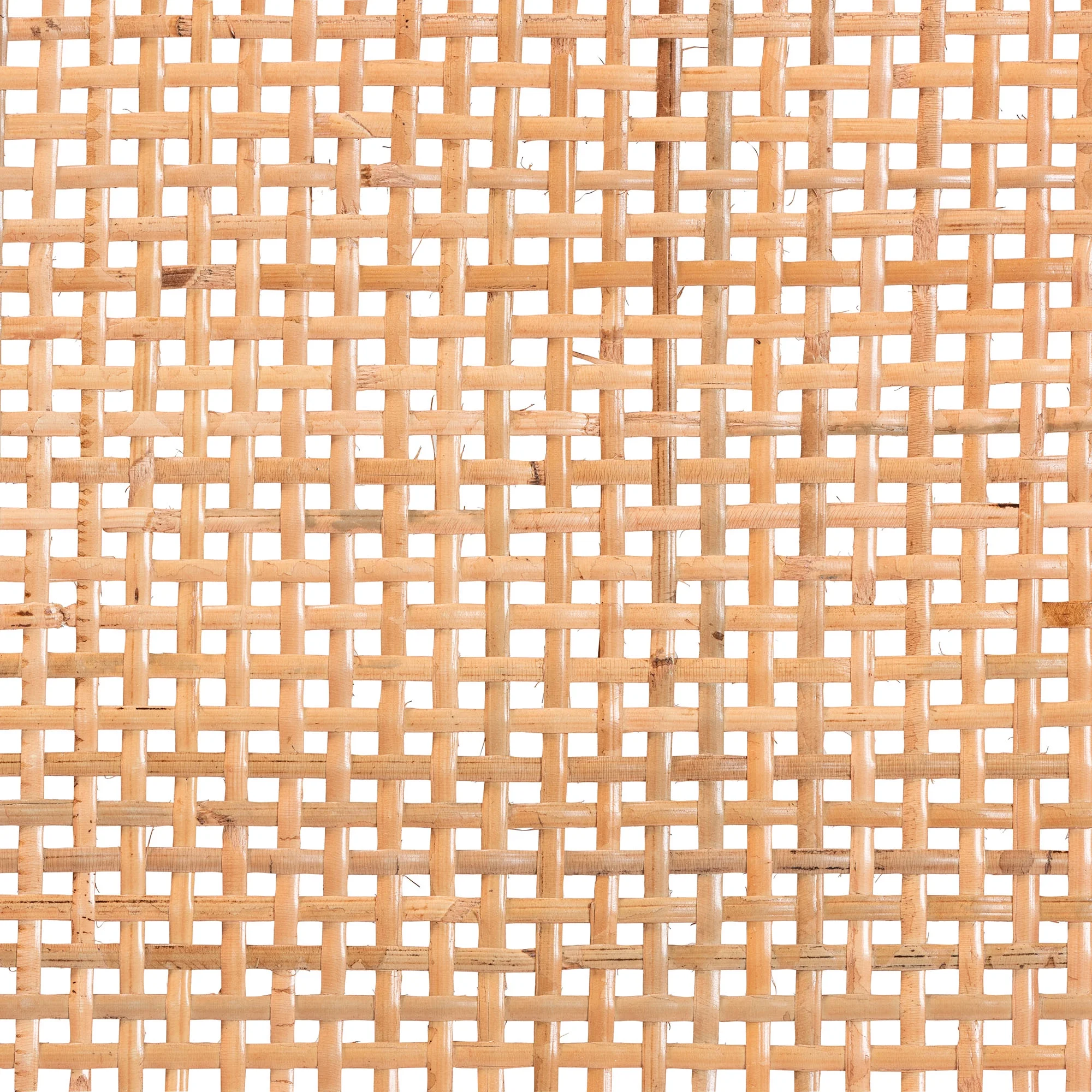 bali & pari Abelia Modern Bohemian Natural Rattan and Mahogany Wood Long Accent Bench