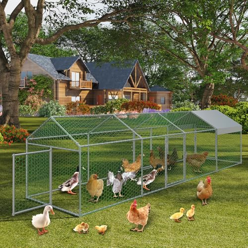 Metal Chicken Coop, 160