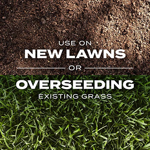 Scotts Turf Builder Rapid Grass Sun and Shade Mix, Combination Grass Seed and Fertilizer, Grows Green Grass in Just Weeks, 16 lbs.