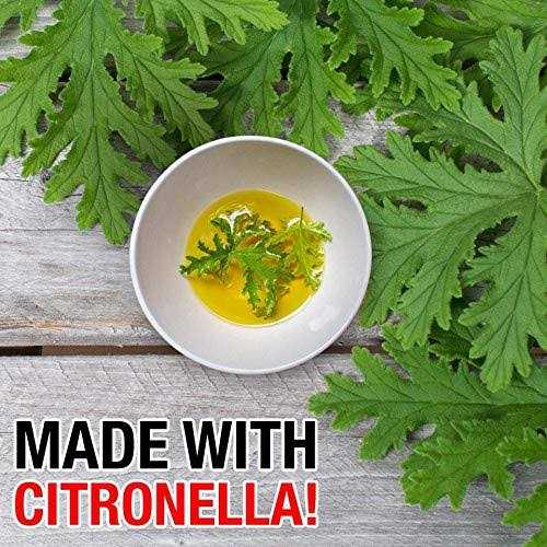 Green Gobbler Fruit Fly Goodbye Gel Drain Treatment Drain Fly Killer