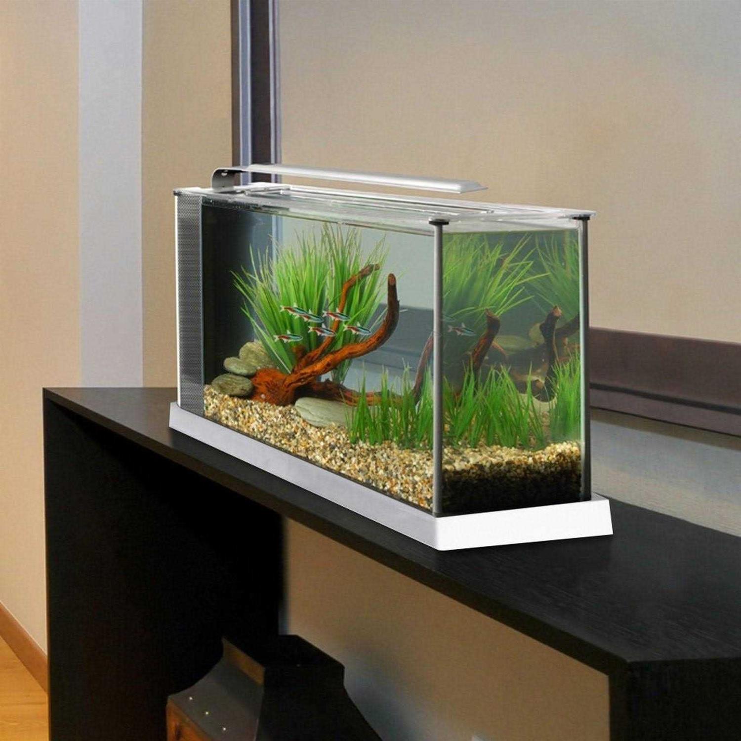 Fluval Spec V - Pet Supplies online store