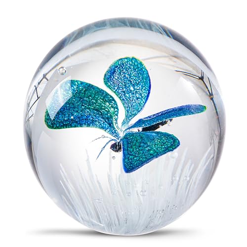 Hand Blown Underwater World of Glass,Office Paperweight Glass for Desk,Home Decor Collectible,Aquarium Decor,Office Decor Ocean Lovers