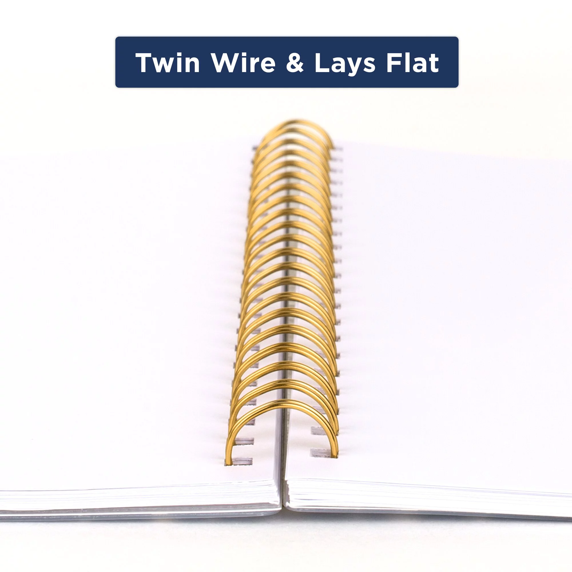 Cambridge Elena 2024 Weekly Monthly Planner Large 8 12 x 11 - Planners