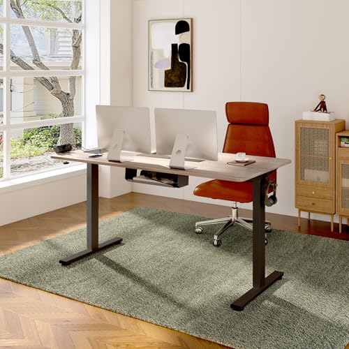 FLEXISPOT EN2 Whole-Piece Standing Desk with Clamp Power Strip, 55 x 28” Electric Stand Up Height Adjustable Desk with Cable Management (Black Frame + 55