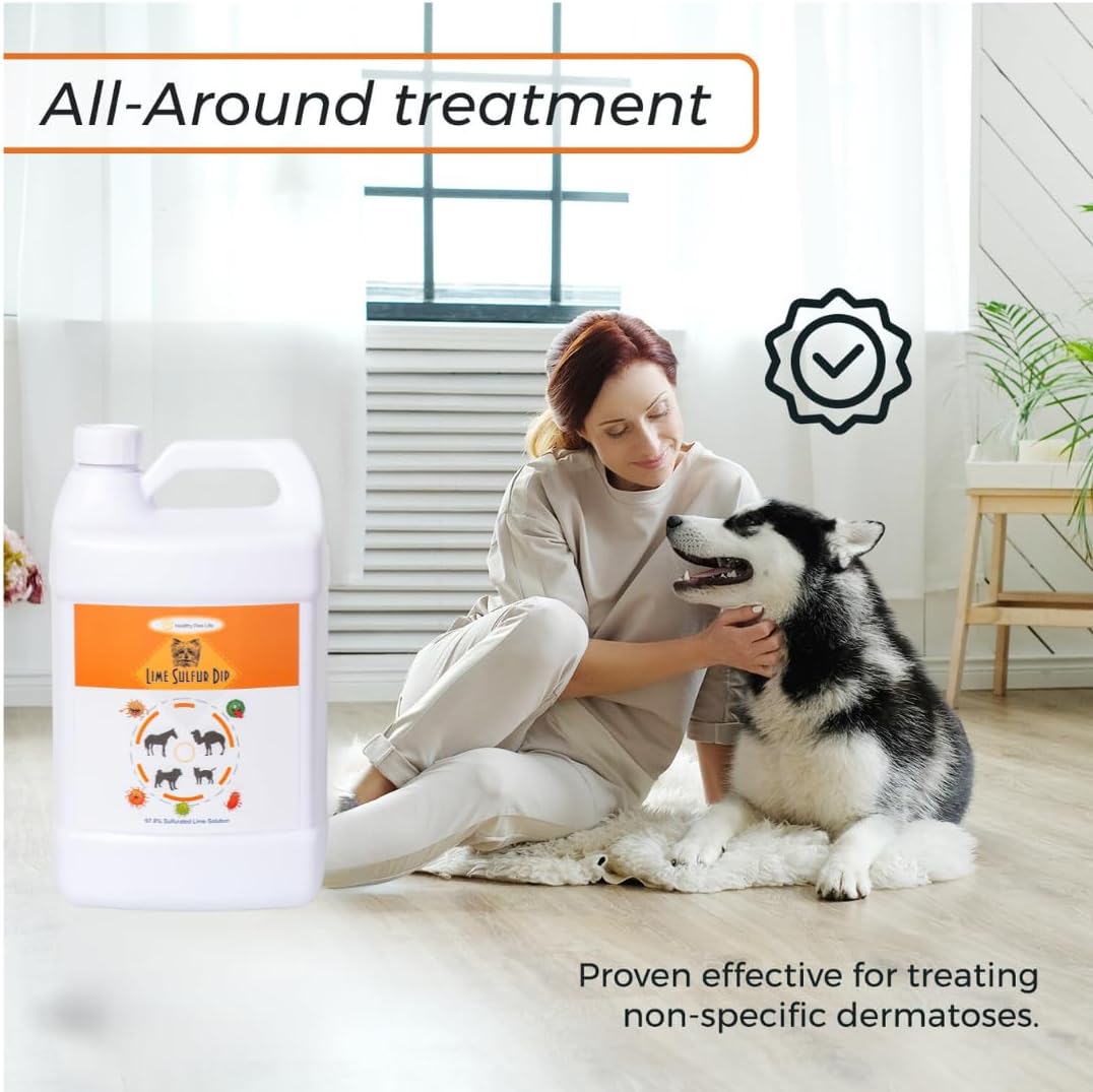 Lime Sulfur Dip and Antiparasitic & Antiseborrheic Sulfur Salicylic Acid Dog Shampoo- 1 Gallon Each - Safe Solution for Itchy Skin, Hot Spots, Yeast & Mange - Healthy Paw Life