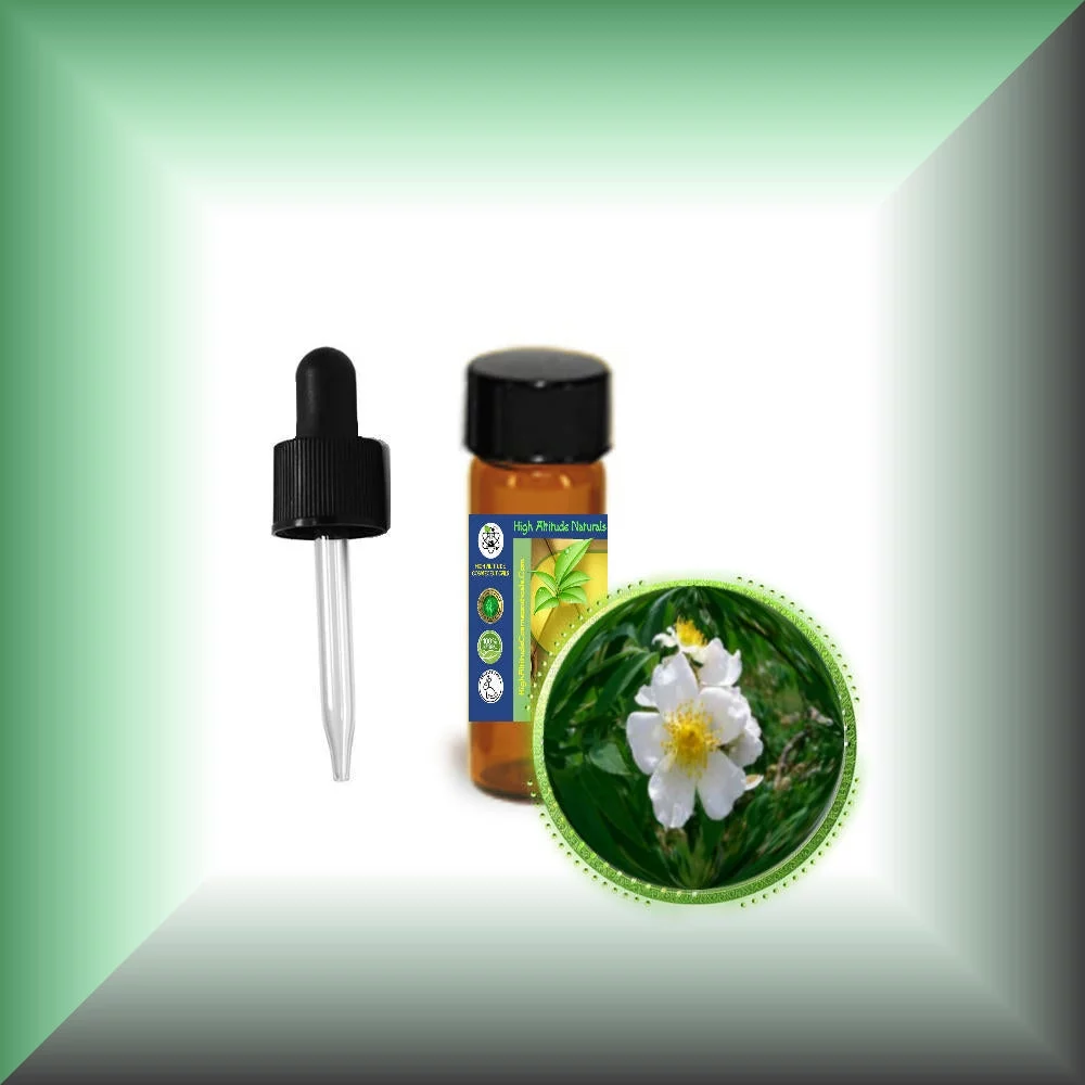 Musk Rose Essential Oil (Rosa Moschata)