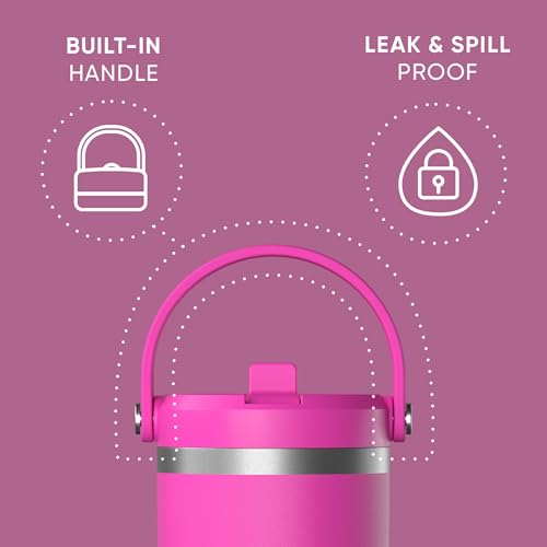 Hydrapeak Nomad 24 oz Tumbler with Handle and Straw Lid, Leakproof, Double Insulated, 24oz Cup Stainless Steel (Blush)