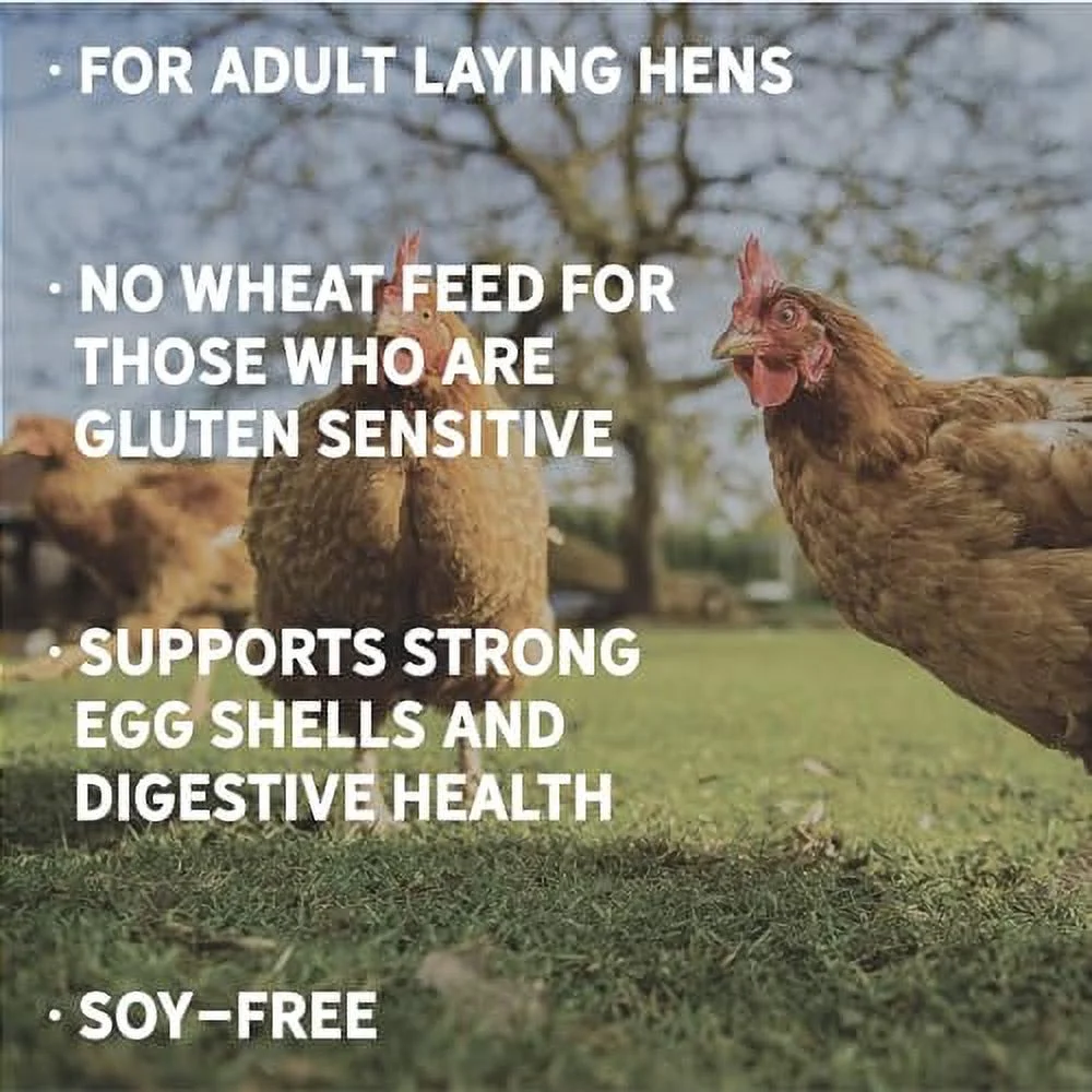 New Country Organics | Wheat-Free Chicken Feed 25lbs | Layer Feed for Laying Hens | Gluten-Free and Soy-Free | 17% Protein | Certified Organic and Non-GMO Chicken Food | 25 lbs Bag