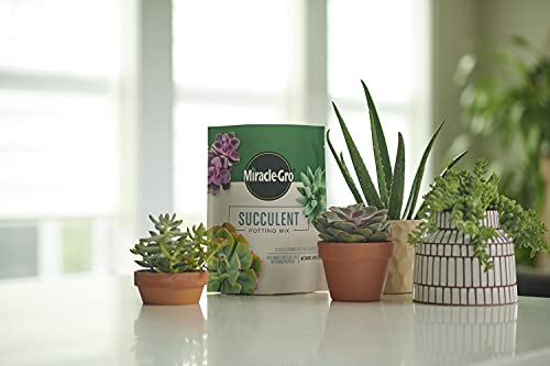 Miracle-Gro Houseplant Potting Mix - Fertilized Soil, Designed to be Less Prone to Gnats, 4 qt. (2-Pack)