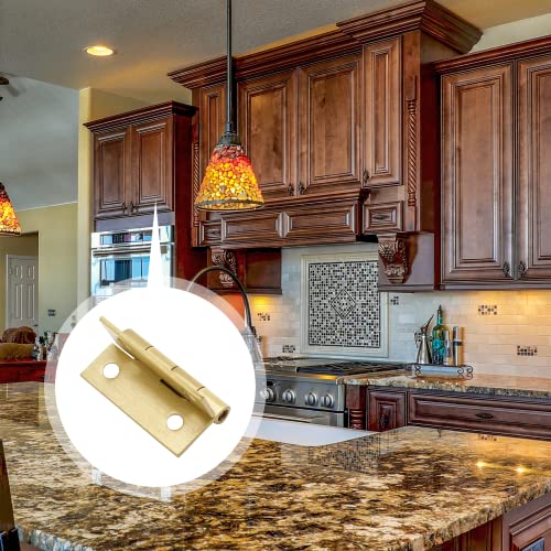 Suiwotin Brass Hinges