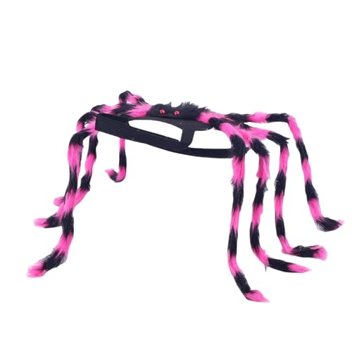 Halloween pet Spider Dress up Clothes