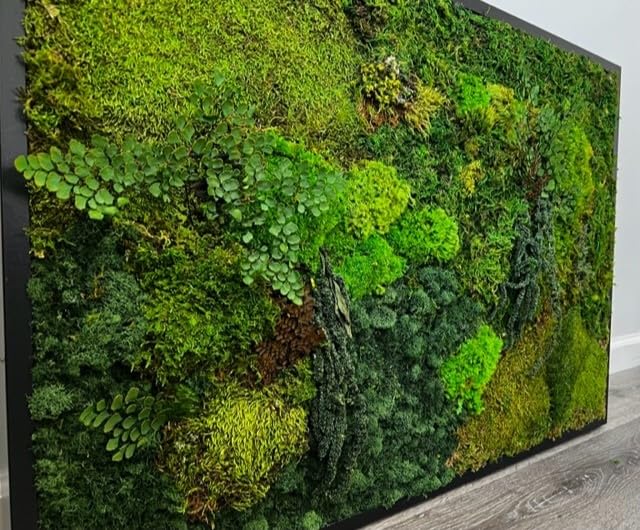 Unique Moss Wall Art - Preserved Live Moss Art Framed - Natural Wooden Artwork - Home Decor - Wall Decor - Custom made - Handmade - Made in USA (25