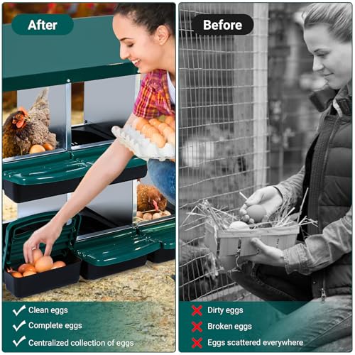 Chicken Nesting Box, 10 Hole 2 Layer Hen Nest Box with Legs, Roll Away Eggs Laying Boxes,Cleanable Pull Out Hen Roosting Boxes