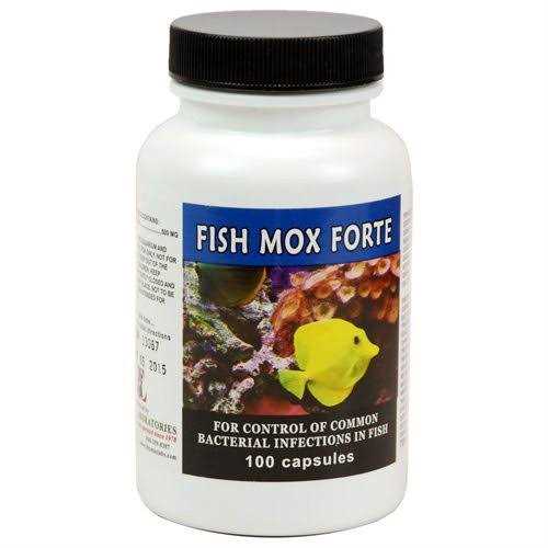 Thomas Labs Fish Flex Forte 500 mg. 100 Capsules - Pet Supplies online store