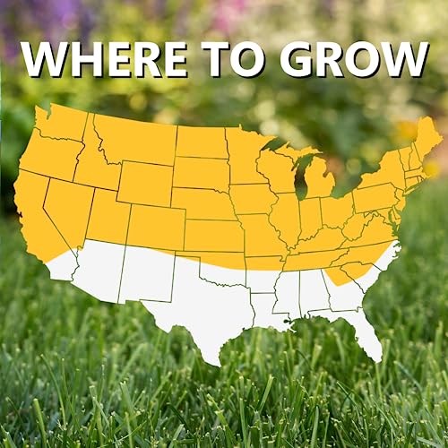 Jonathan Green 10315 Black Beauty Grass Seed Mix, 25-Pound