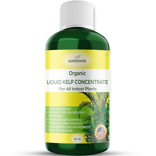 GARDENWISE Organic Premium Kelp Seaweed Concentrate - Liquid Hydroponics Fertilizer - Liquid Plant Food - Nutrient-Rich Soil Enhancer - Natural Plant Food for All Indoor Plants (8 oz)