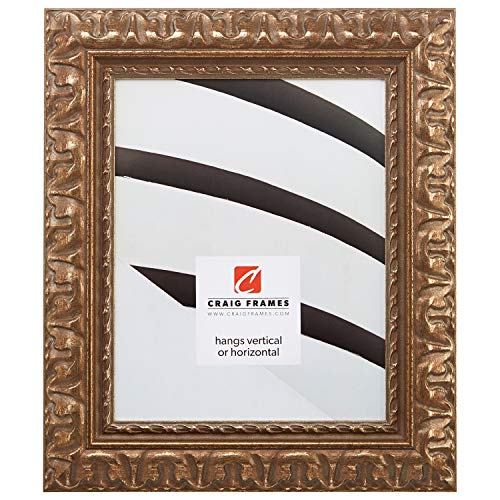 Craig Frames Bravado, 8x10 Picture Frame, Antique Silver