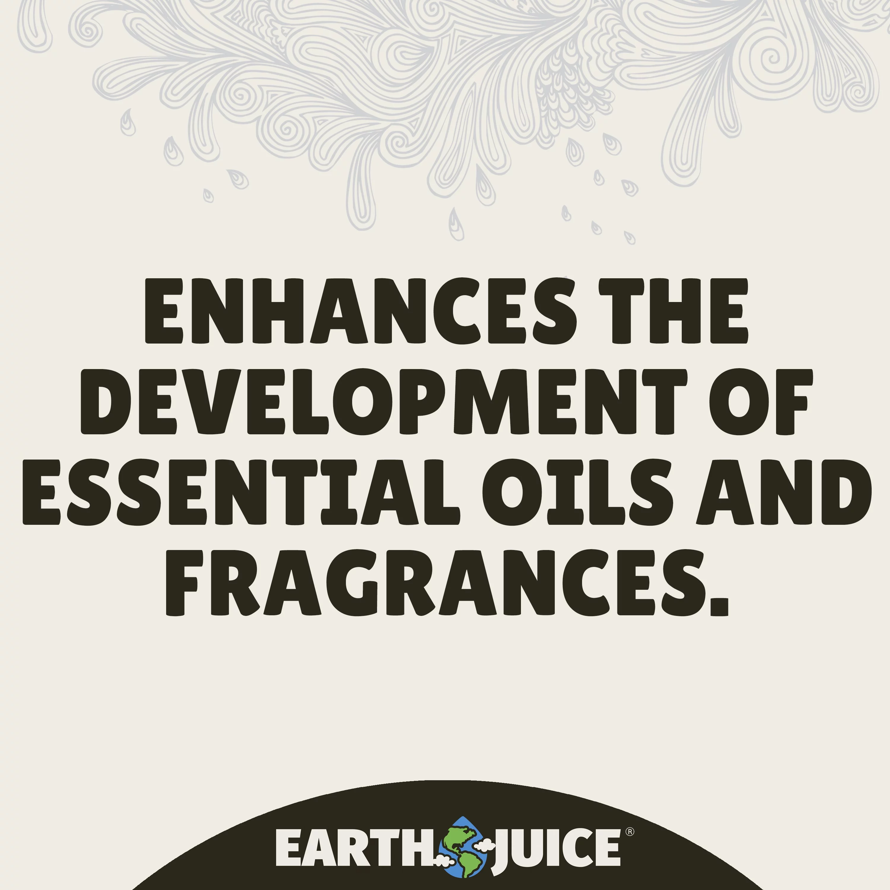 Earth Juice Sugar Peak Flowering Plant Food, 2-4-5 Flower Fertilizer, 32 oz.