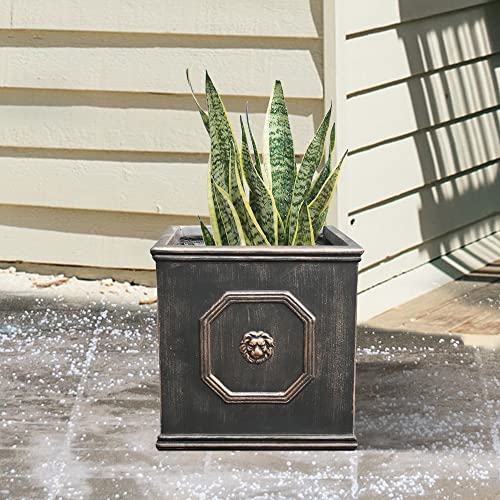 Kante Square Lion Head Concrete Planter, Classic English Style Plant Pot with Drainage Hole and Rubber Plug for Indoor Outdoor Garden Patio Home, 10.2